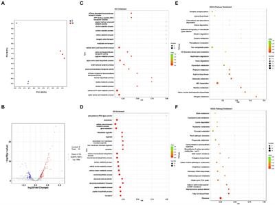 The impact of oxygen content on Staphylococcus epidermidis pathogenesis in ocular infection based on clinical characteristics, transcriptome and metabolome analysis